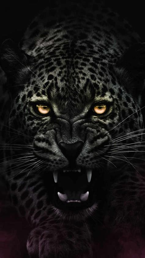 Angry Jaguar IPhone Wallpaper - IPhone Wallpapers : iPhone Wallpapers | Dieren foto's, Wilde ...