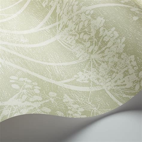 Cow Parsley by Cole & Son - Olive Green - Wallpaper : Wallpaper Direct ...