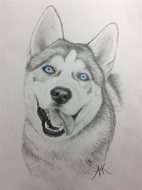 Custom Pet Portrait | Husky drawing, Animal drawings, Dog sketch