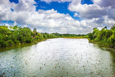 UTB Brownsville, Texas | Lisandro Sanchez | Flickr