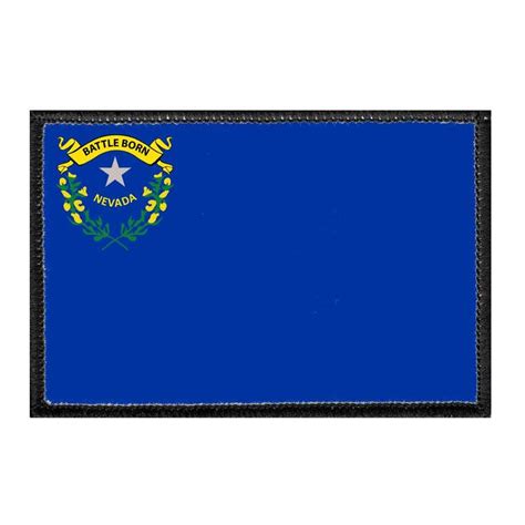 Nevada State Flag Color Removable Patch - Etsy