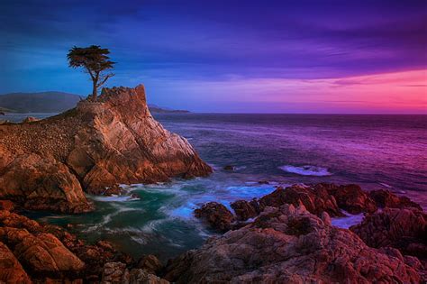 HD wallpaper: rocky beach landscape during sunset, lone cypress, lone ...