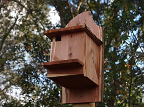 Flying Squirrel Nest Box | Etsy