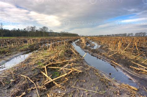 Muddy field 777171 Stock Photo at Vecteezy