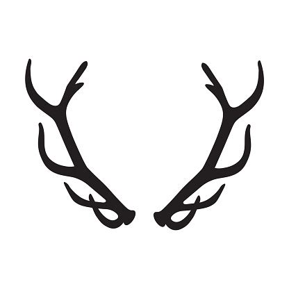 Black Silhouette Of Deer Antlers Stock Illustration - Download Image Now - iStock
