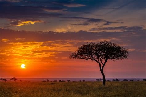 Africa Skies-6 | Hawkins Photo Alchemy