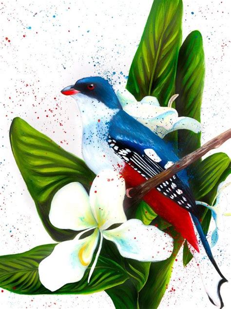 Cuban Trogon, Tocororo, Ginger Lily, White Mariposa, Bird of Cuba ...