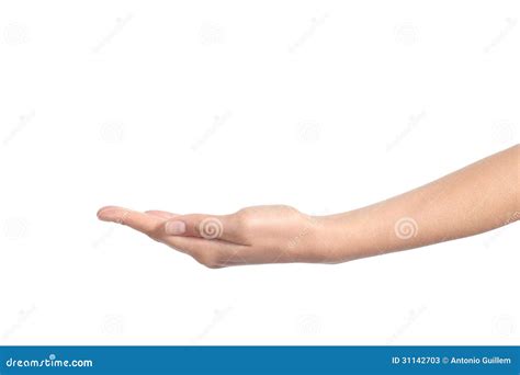 Side View Of A Woman Hand With Palm Up Stock Photos - Image: 31142703