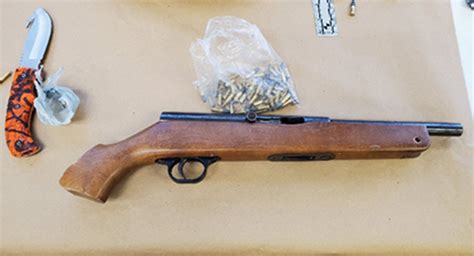 Man allegedly carrying sawed-off rifle facing dozen charges: Owen Sound ...