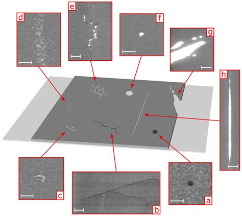 Coating Defects of Lithium-Ion Battery Electrodes and Their Inline Detection and Tracking