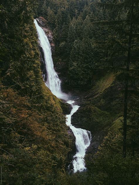 "Lush Waterfall Rushes Through Forest" by Stocksy Contributor "TJ Macke ...