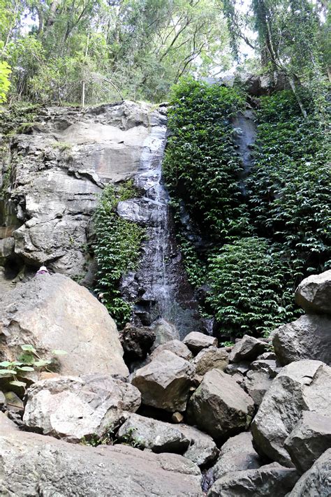 Hiking in the Bunya Mountains | The Courier Mail