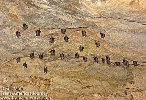 Waterfall Cave Expedition Belize Travel - Trans-Americas Journey