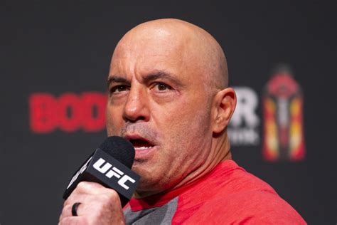 MMA Legend Reacts To Joe Rogan's Controversial Take On Non-UFC Fighters ...