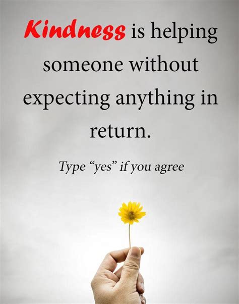 Quotes About Helping Others Without Expecting Anything In Return - Lisa Sheree