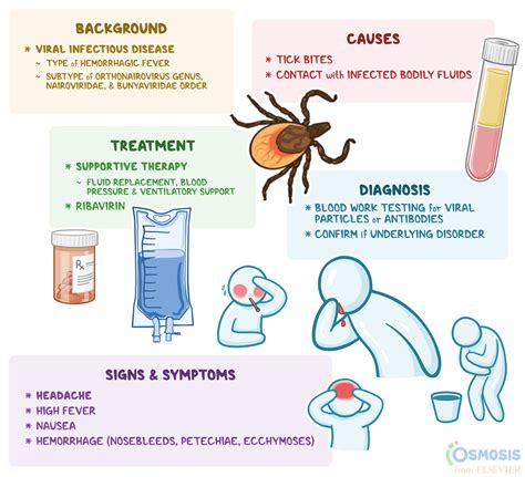 Crimean-Congo Hemorrhagic Fever: What Is It, Causes, Spread, Signs, Symptoms, and More | Osmosis