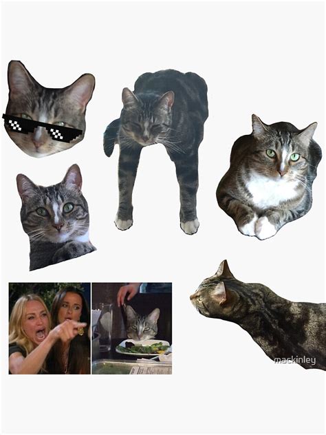 "cat meme pack" Sticker for Sale by mackinley | Redbubble