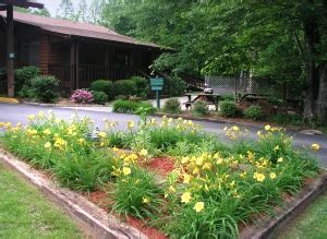 Amenities at Unicoi Springs RV Resort Camprgound