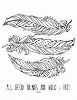 Feather Free Printable coloring Pages For Older Kids  Letscoloritcom sketch template