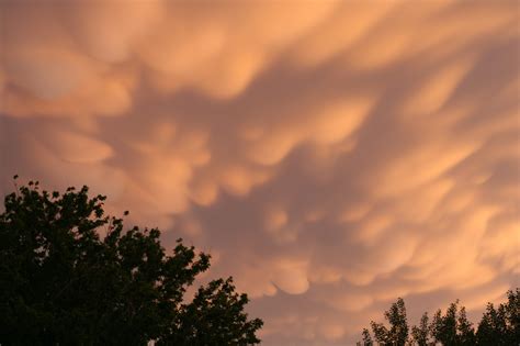 Exile in Portales: Mammatus Clouds at Sunset