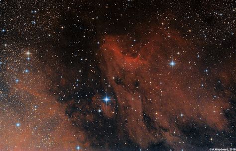 Pelican Nebula (IC5070, IC5067) | The Pelican Nebula, also r… | Flickr