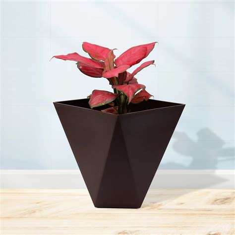 Buy Planters Online- Indoor & Outdoor Pots | Urban Plant