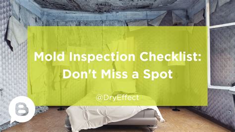 Mold Inspection Checklist: The Ultimate Home Safety Hack!