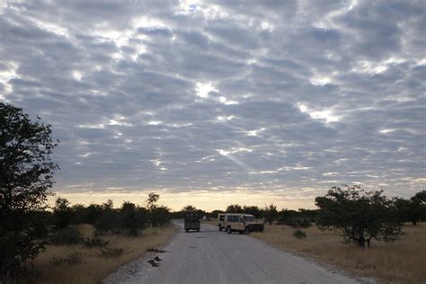 Etosha National Park - Namibia. | Etosha National Park - Nam… | Flickr