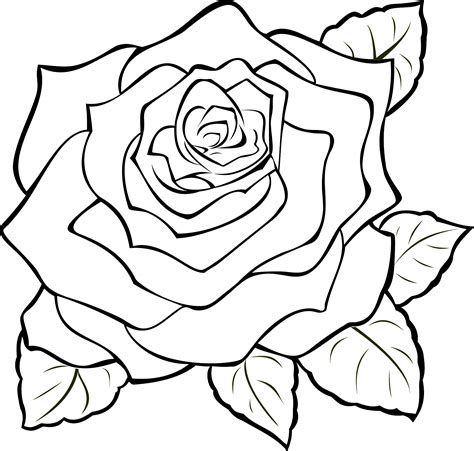 eletragesi: Easy Rose Drawing Outline Images