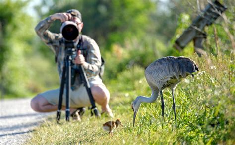 10 Best Bird Photography Cameras in 2023