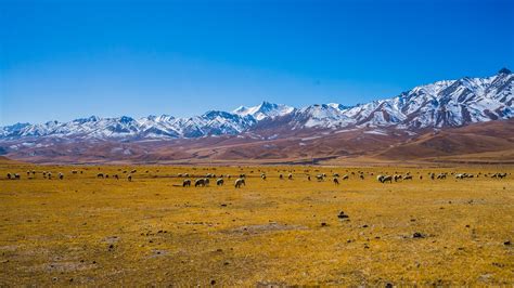 Qilian Mountains: A world unto itself