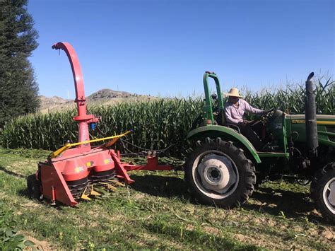 Forage Harvester Silage Grass Cutting Harvester Corn Silage Harvesting - Silage Harvesting and ...