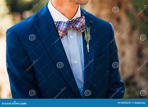 Tie Butterfly Close-up. Wedding Groom Suit Stock Image - Image of elegance, design: 90905247