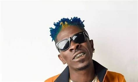 Shatta Wale net worth, Age, Weight, Bio-Wiki, Kids, Wife 2024| The ...