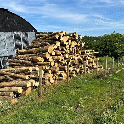 Seasoned Hardwood Logs | Holme Firewood