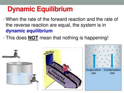 PPT - Equilibrium PowerPoint Presentation, free download - ID:6271487