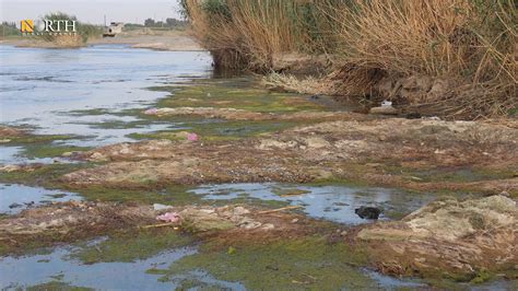 Turkey's seizure of Euphrates causes disaster: Agricultural engineers ...