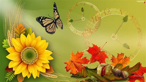 Autumn, butterfly, Sunflower, graphics, Leaf, sunflowers autumn HD wallpaper | Pxfuel