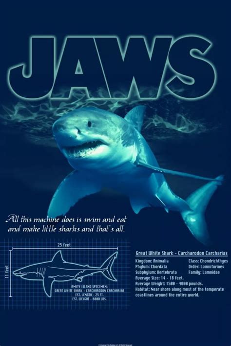 'Great White Shark' Poster by JAWS movie | Displate in 2023 | Jaws movie, Shark, Surf poster