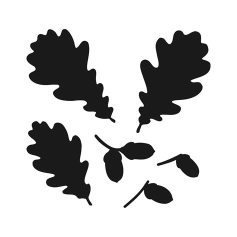 Set with silhouette oak leaf and acorn. Hand drawn autumn vector illustration. 24270887 Vector ...