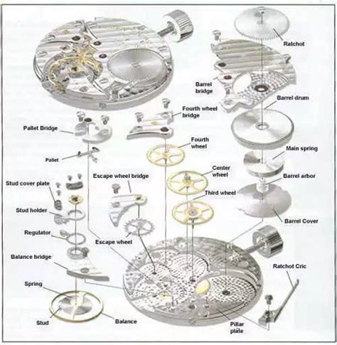 Details more than 148 watch movement diagram - vietkidsiq.edu.vn