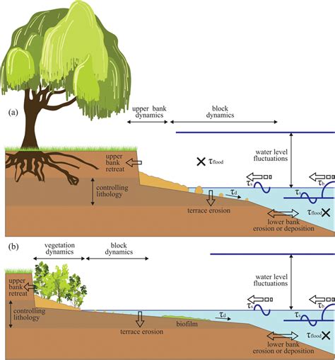 Schematic bank profile at (a) initial and (b) intermediate development ...