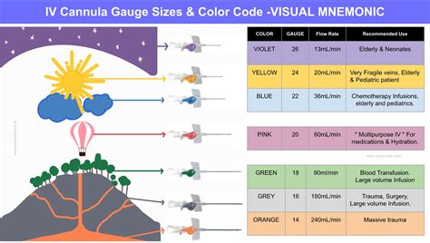 IV Cannula Gauge Sizes, Color Code, Flow Rate & Uses -VISUAL MNEMONIC