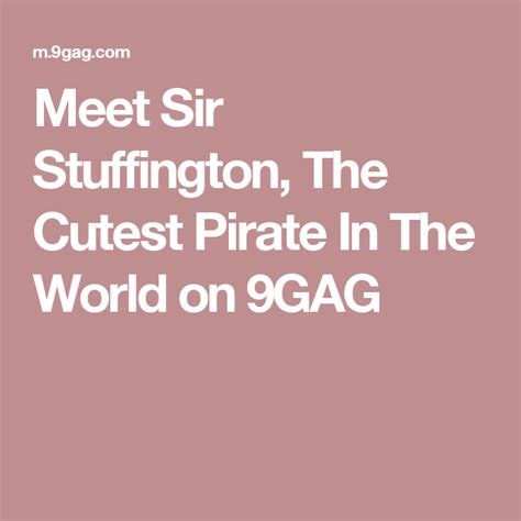 Meet Sir Stuffington, The Cutest Pirate In The World - Animals | Cute ...