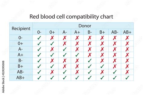 Red blood sell compatibility chart. Recipient and donor blood groups ...