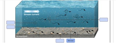 Solved Suspended load Dissolved load Saltation Traction | Chegg.com