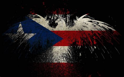 [100+] Puerto Rican Flag Wallpapers | Wallpapers.com