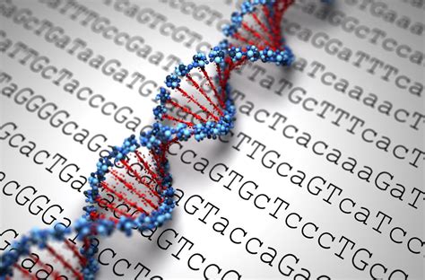 New DNA Editing Technology CRISPR-Cas3 Shows Promise For Disease Cures ...