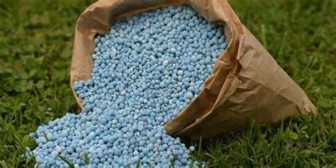 The Problem with Synthetic Fertilizers - The Zero Waste Family®