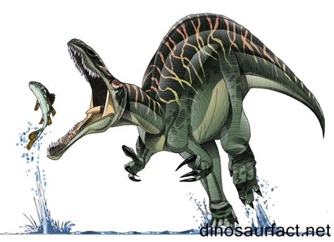 Suchomimus Pictures & Facts - The Dinosaur Database